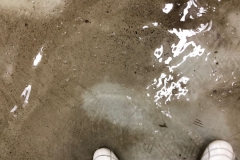 IMG-20180417-WA0005